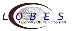 Laboratory of Brain   ProcessES